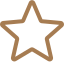 star (1)
